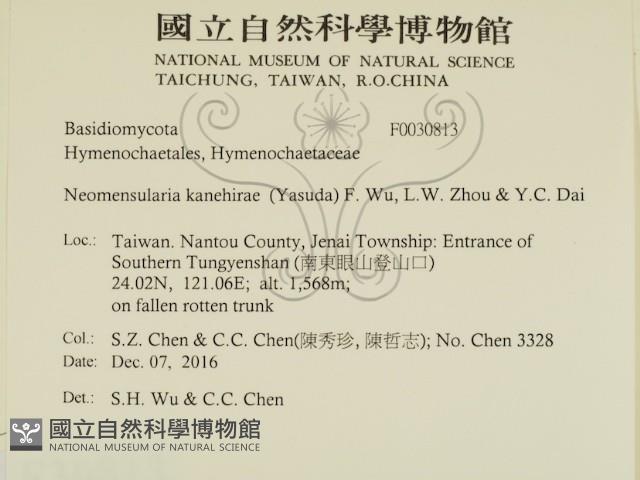 登錄號:F0030813藏品圖，第2張