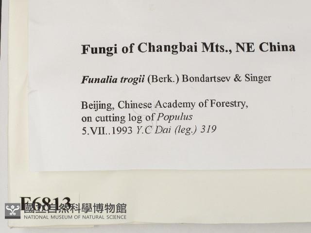 登錄號:F0006813藏品圖，第2張