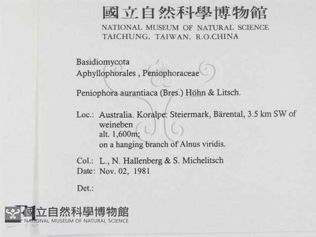 登錄號:F0016813藏品圖，第2張