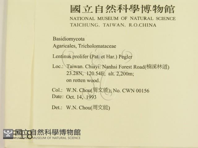 登錄號:F0001813藏品圖，第2張