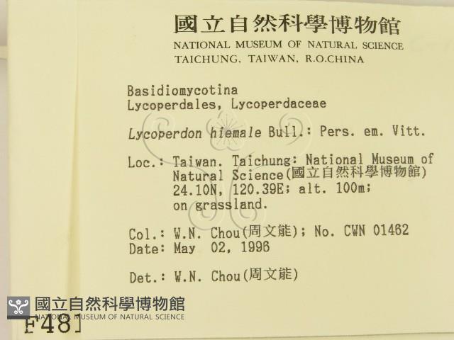 登錄號:F0004813藏品圖，第2張