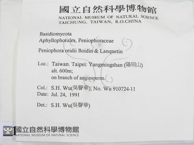 登錄號:F0012813藏品圖，第2張