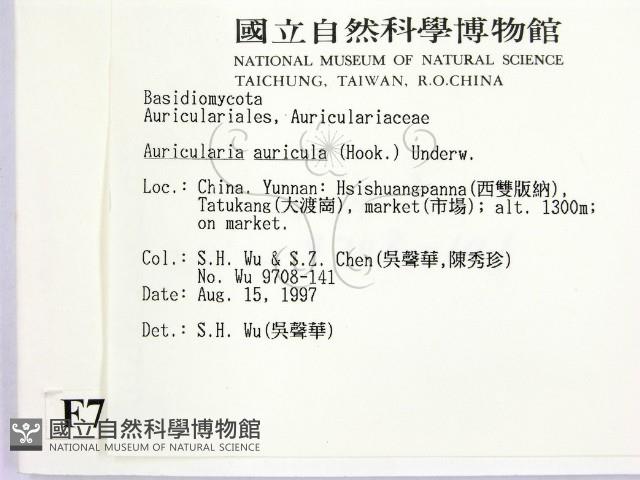 登錄號:F0007813藏品圖，第2張