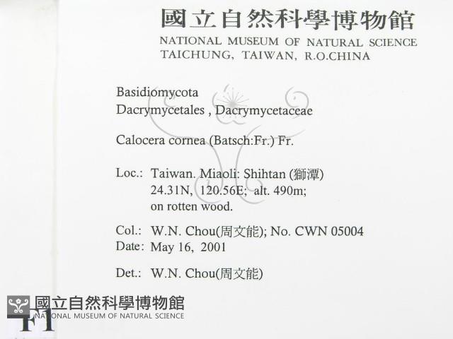 登錄號:F0015813藏品圖，第2張