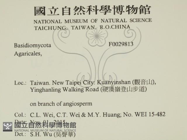 登錄號:F0029813藏品圖，第2張