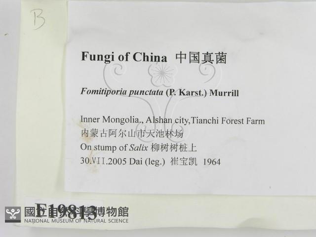 登錄號:F0019813藏品圖，第2張