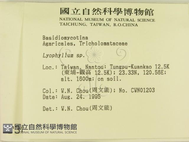 登錄號:F0003813藏品圖，第2張