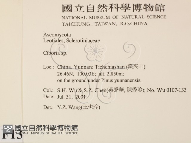 登錄號:F0013813藏品圖，第2張