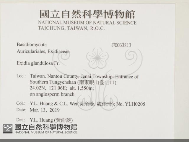 登錄號:F0033813藏品圖，第2張