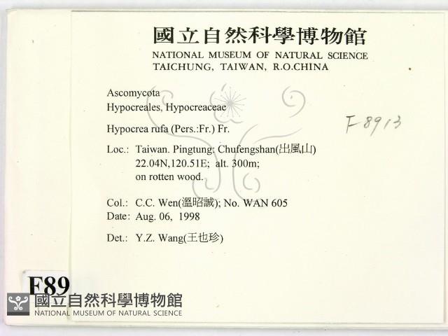 登錄號:F0008913藏品圖，第2張