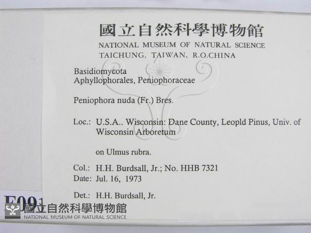 登錄號:F0000913藏品圖，第2張