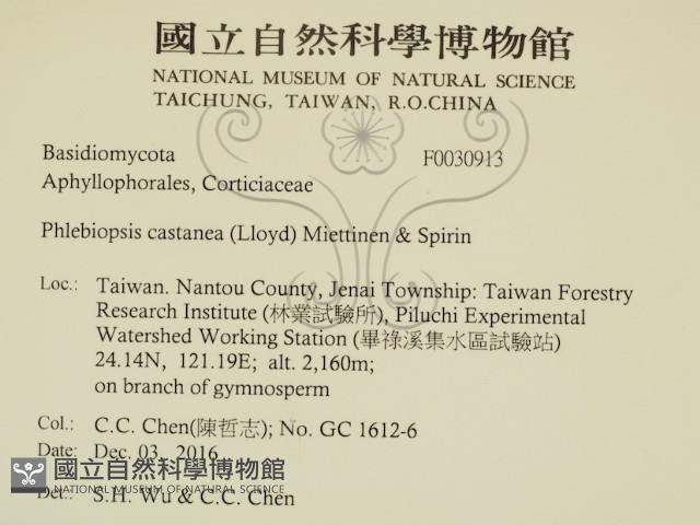 登錄號:F0030913藏品圖，第2張