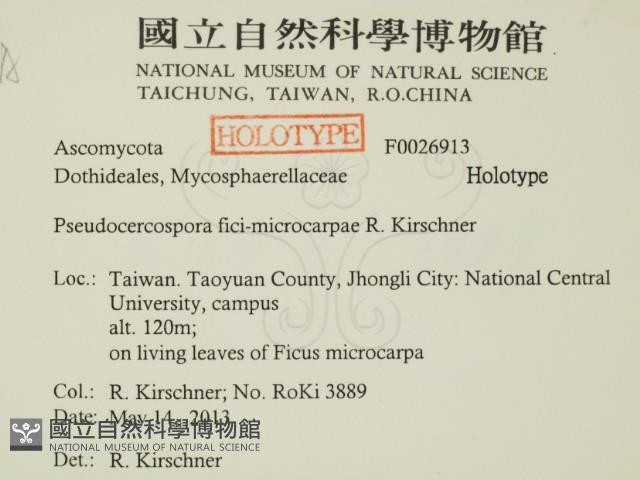 登錄號:F0026913藏品圖，第2張