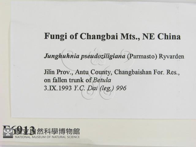 登錄號:F0006913藏品圖，第2張