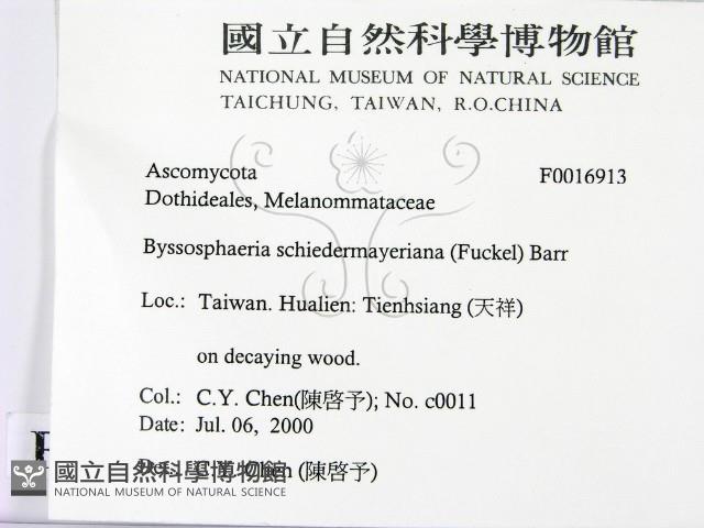 登錄號:F0016913藏品圖，第2張