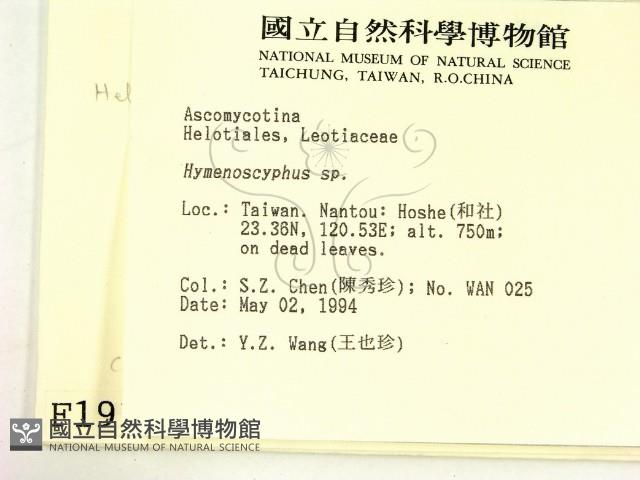 登錄號:F0001913藏品圖，第2張