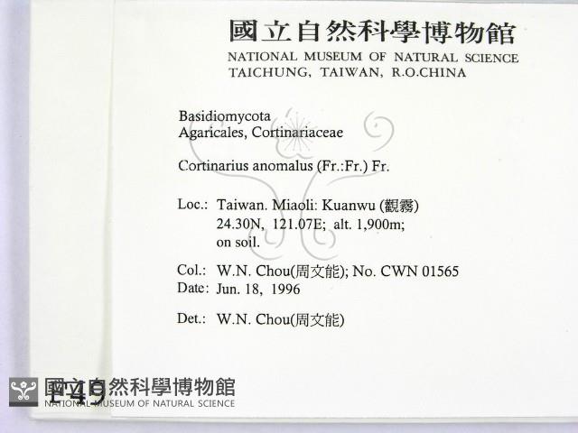 登錄號:F0004913藏品圖，第2張