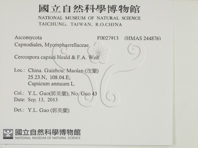 登錄號:F0027913藏品圖，第2張