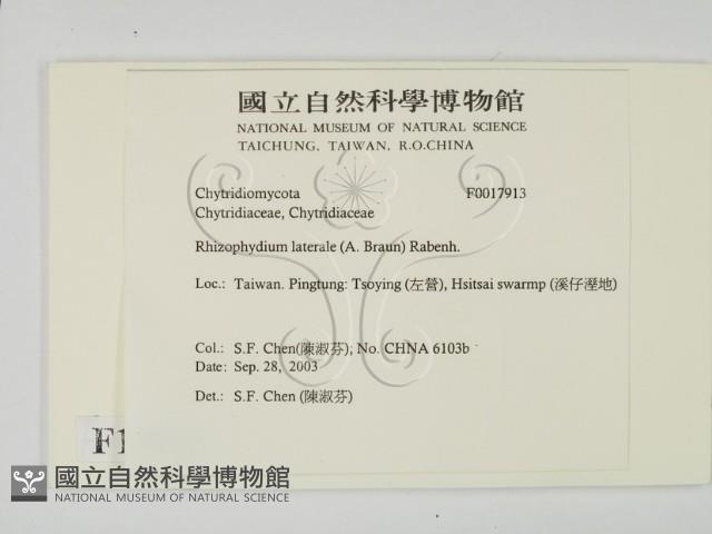 登錄號:F0017913藏品圖，第2張