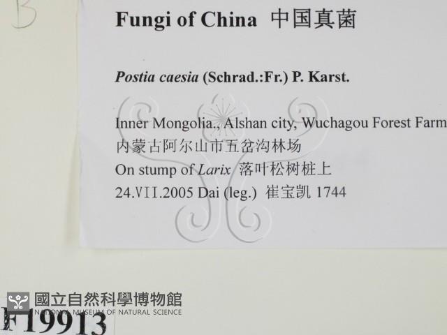登錄號:F0019913藏品圖，第2張