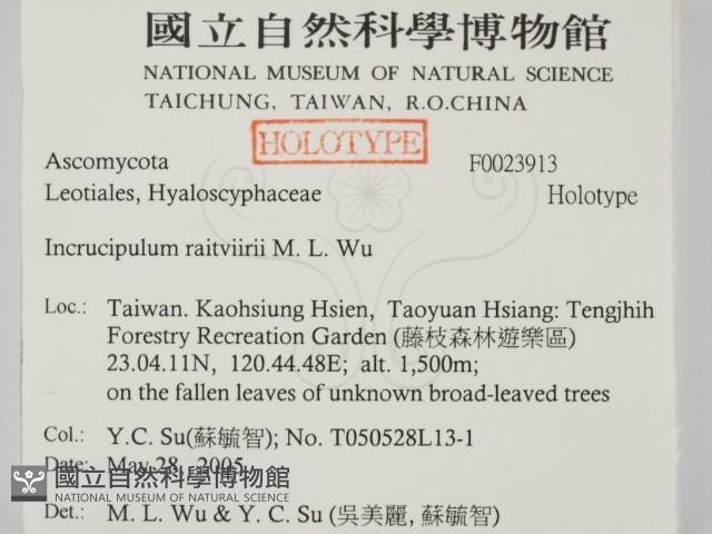 登錄號:F0023913藏品圖，第2張