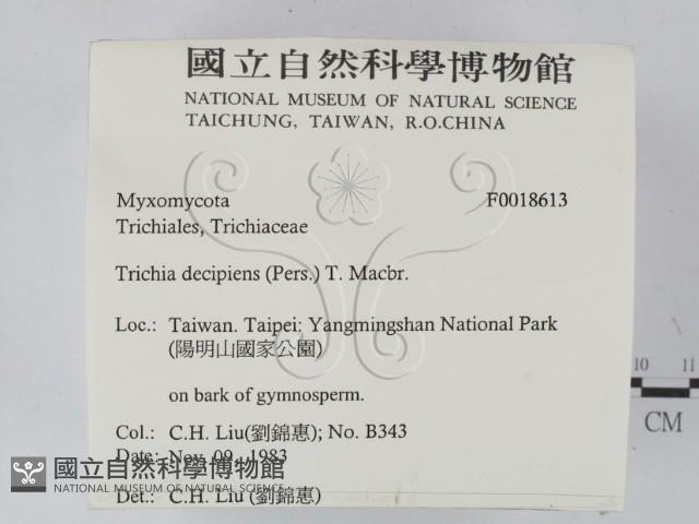 登錄號:F0018613藏品圖，第2張
