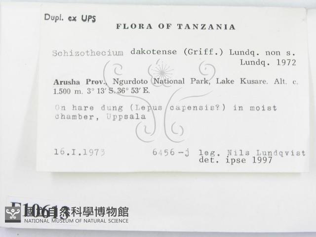 登錄號:F0010613藏品圖，第2張