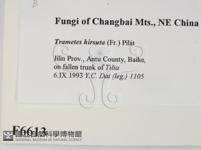 登錄號:F0006613藏品圖，第2張