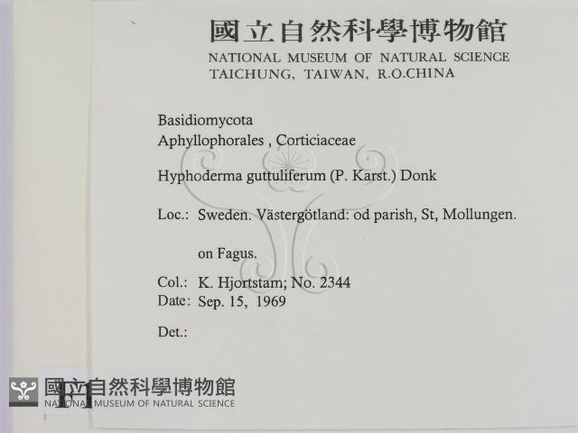 登錄號:F0016613藏品圖，第2張