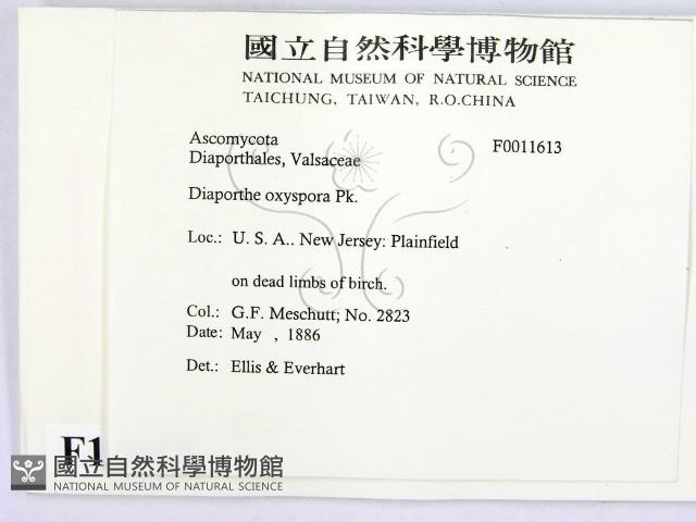 登錄號:F0011613藏品圖，第2張
