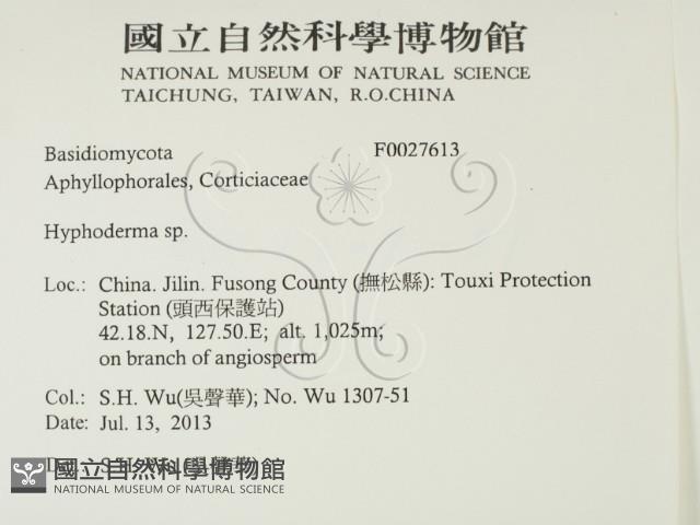 絲皮菌屬藏品圖，第2張