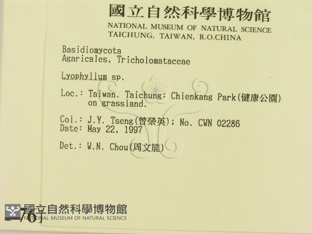 登錄號:F0007613藏品圖，第2張