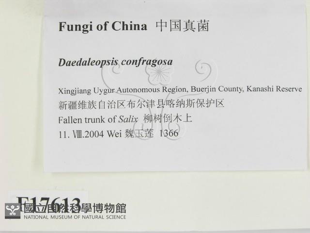 登錄號:F0017613藏品圖，第2張