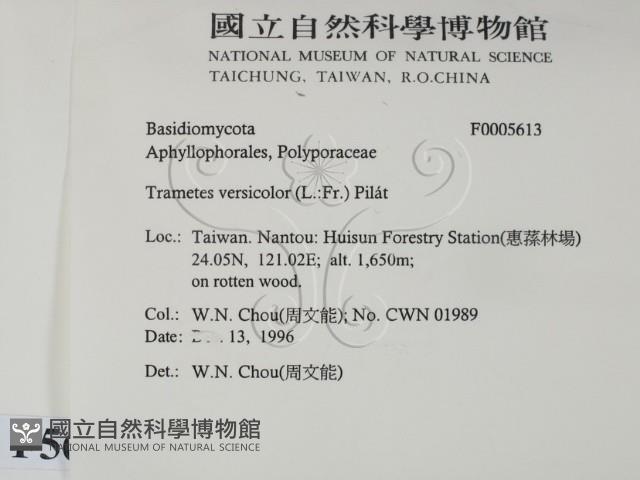 Accession Number:F0005613 Collection Image, Figure 2, Total 3 Figures