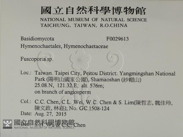 登錄號:F0029613藏品圖，第2張