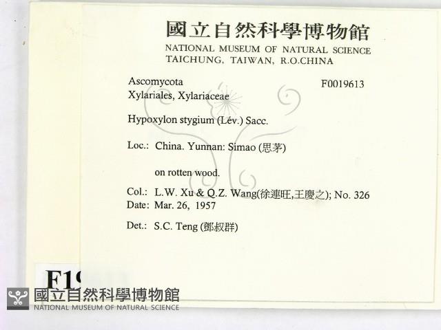 登錄號:F0019613藏品圖，第2張