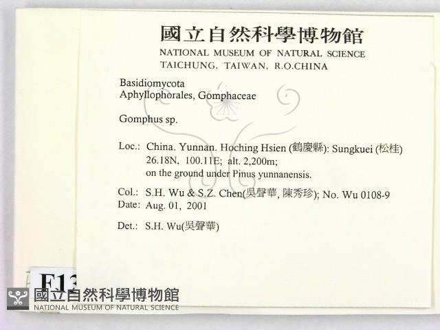 登錄號:F0013613藏品圖，第2張