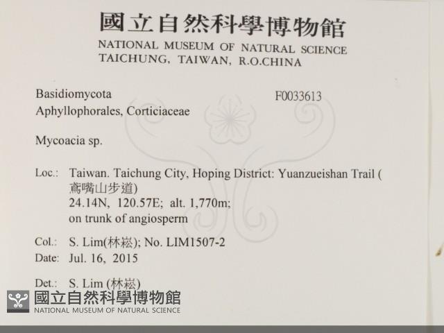 登錄號:F0033613藏品圖，第2張