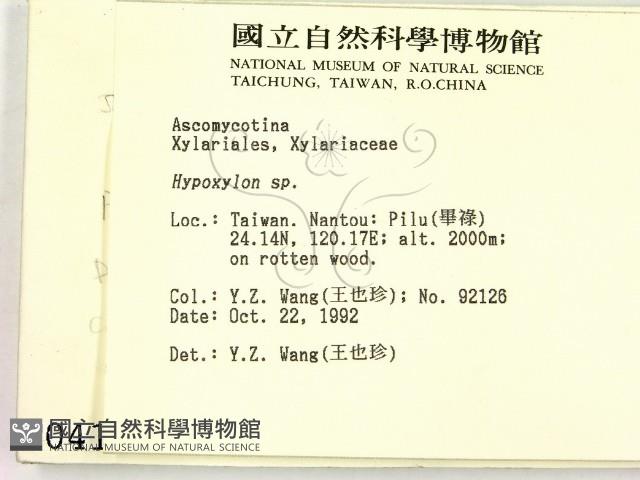 登錄號:F0000413藏品圖，第2張