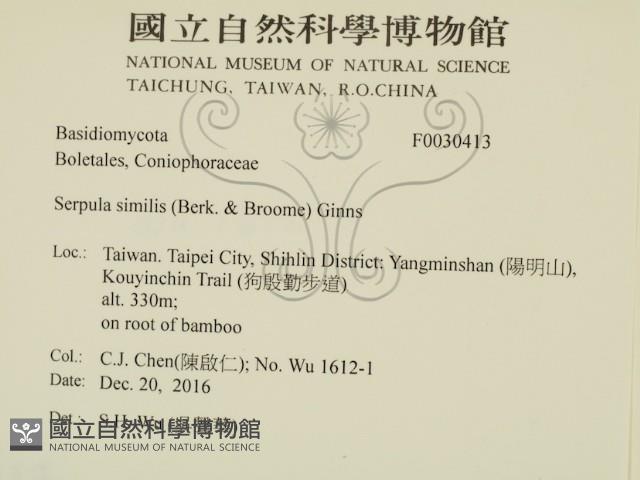 登錄號:F0030413藏品圖，第2張