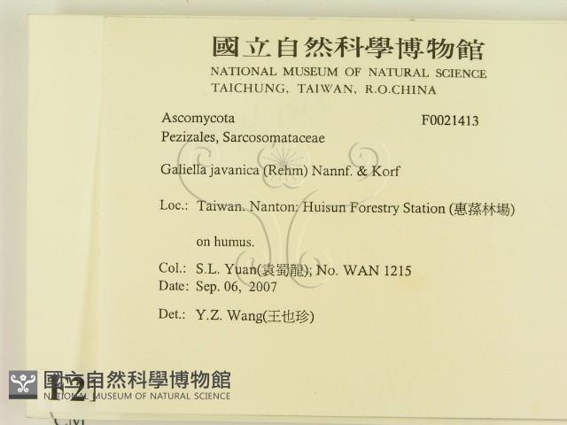 登錄號:F0021413藏品圖，第2張
