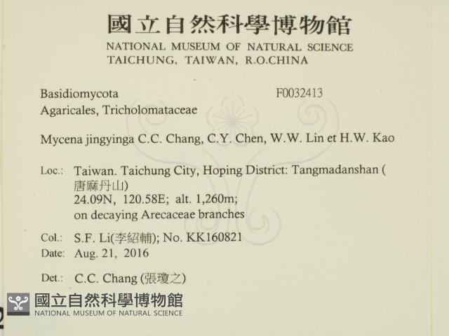 登錄號:F0032413藏品圖，第2張