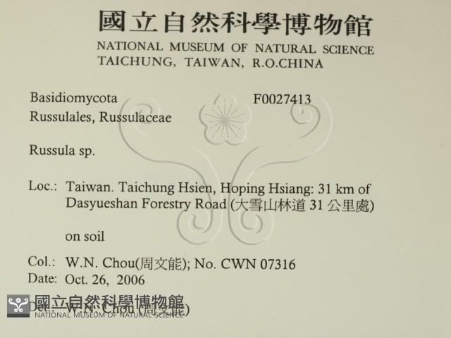 紅菇屬藏品圖，第2張