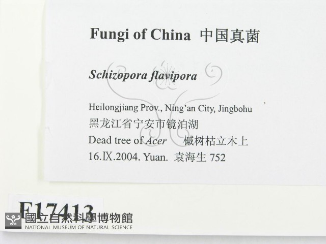 登錄號:F0017413藏品圖，第2張