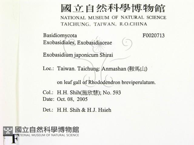 登錄號:F0020713藏品圖，第2張
