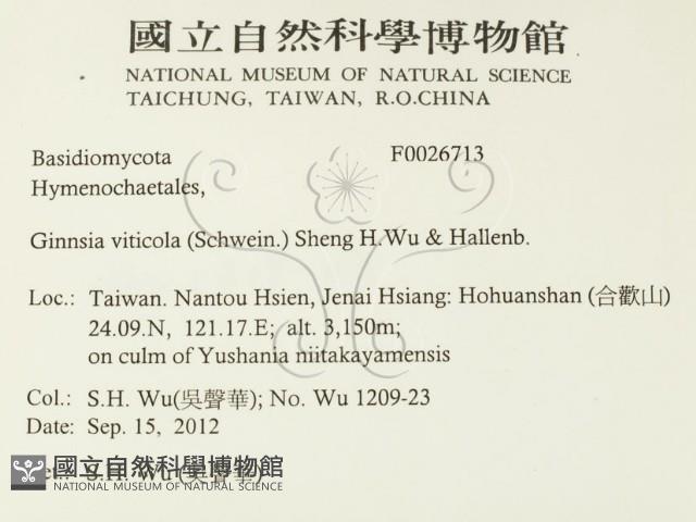 登錄號:F0026713藏品圖，第2張