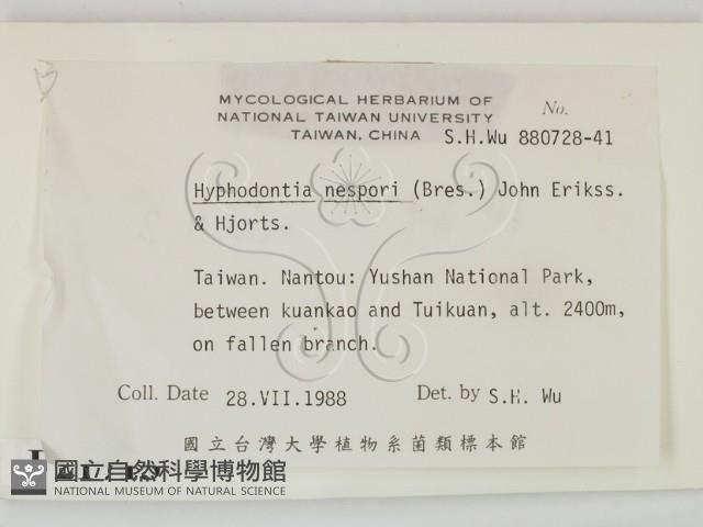 登錄號:F0021713藏品圖，第2張