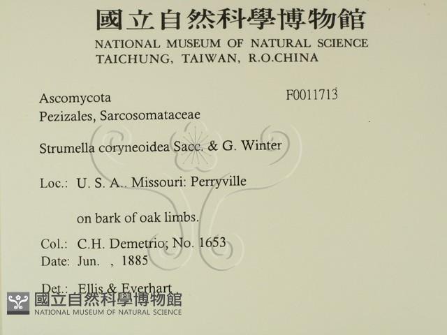 登錄號:F0011713藏品圖，第2張