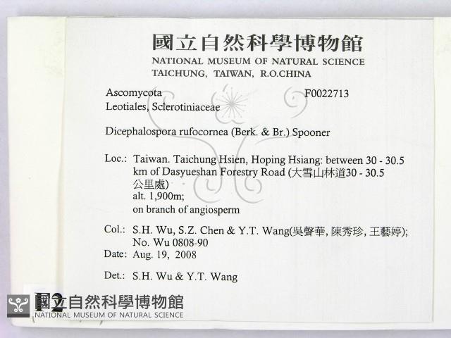 登錄號:F0022713藏品圖，第2張