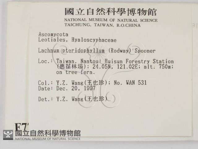 登錄號:F0007713藏品圖，第2張